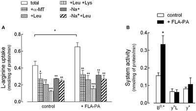 Flagellin From Pseudomonas Aeruginosa Stimulates ATB0,+ Transporter for Arginine and Neutral Amino Acids in Human Airway Epithelial Cells